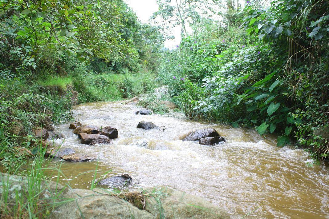Rustling River Resort Утакаманд Экстерьер фото