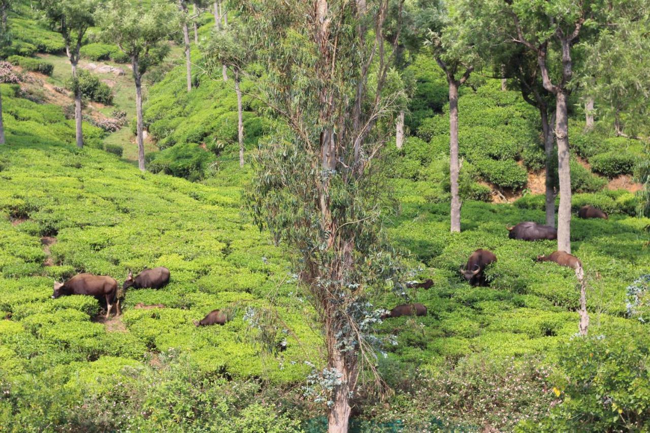 Rustling River Resort Утакаманд Экстерьер фото